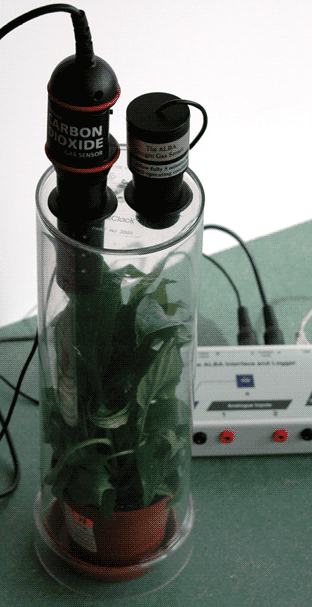Photosynthesis Jar