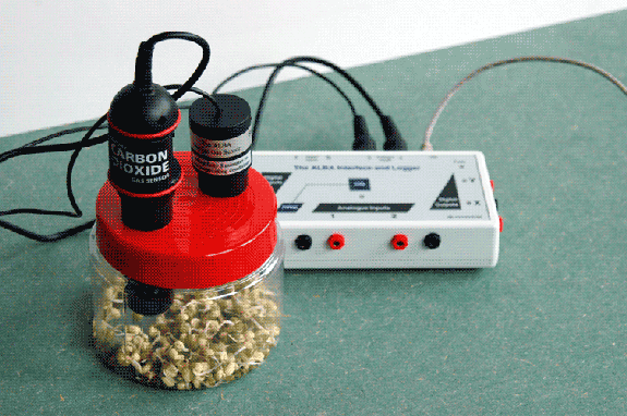 Respiration Experiment