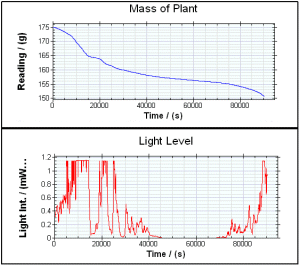 Transpiration
